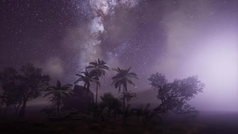 Milky-Way-Galaxy-over-Tropical-Rainforest.